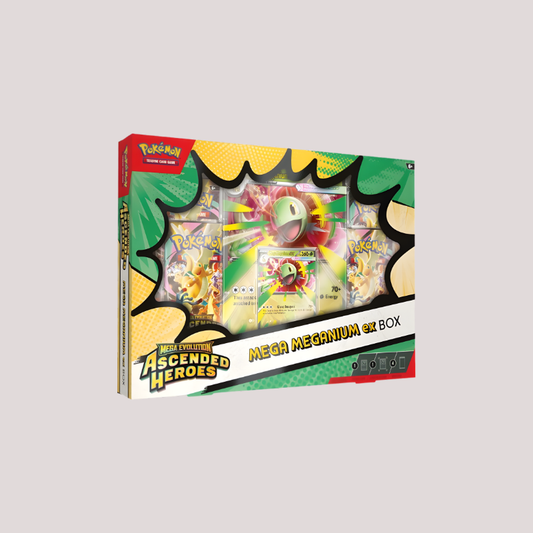 Pokémon - Mega Meganium ex Box
